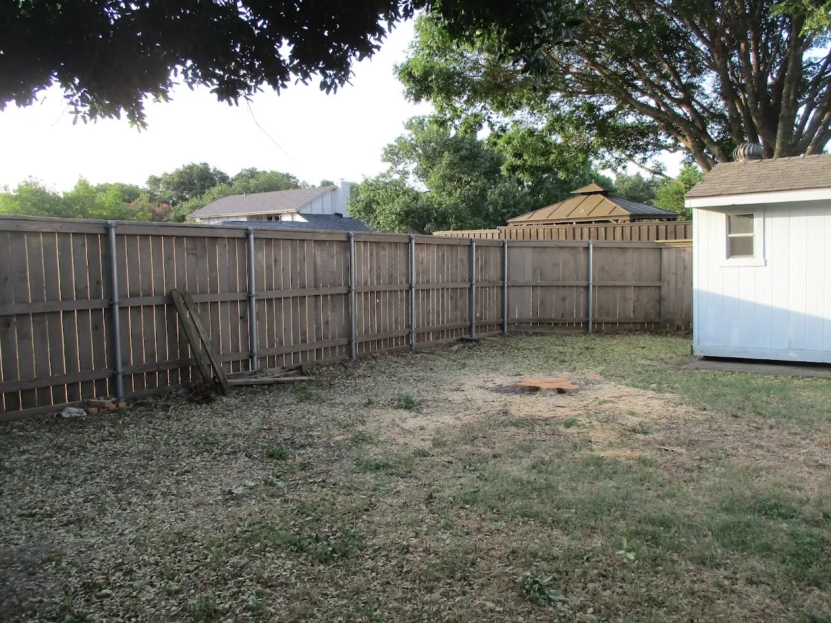 Cleared yard after professional tree removal in Dixie